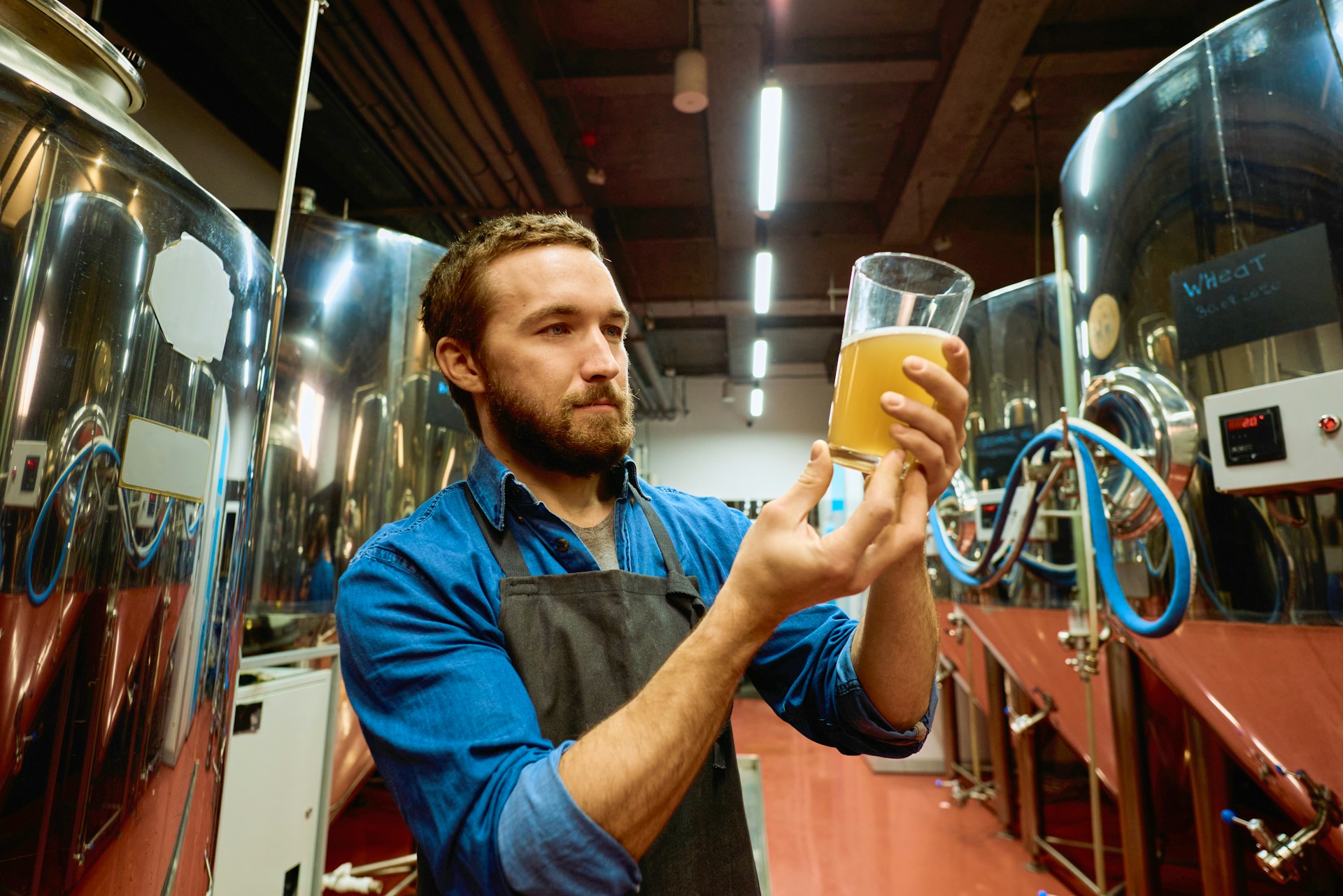 Read more about the article Craft Brewing Evolution: How Water Replication Technology Elevates Beer Quality and Consistency